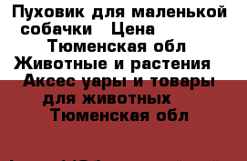 Пуховик для маленькой собачки › Цена ­ 1 000 - Тюменская обл. Животные и растения » Аксесcуары и товары для животных   . Тюменская обл.